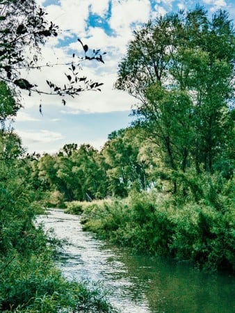 Verde River, Cottonwood, Arizona